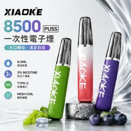 一次性電子煙-梟客XIAOKE-8500